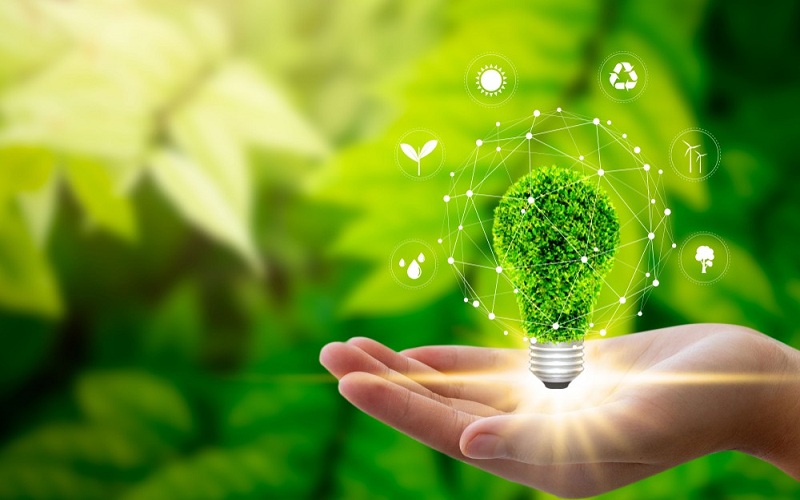 Sustainability Practices For Electrical Contractors: Building A Greener Future