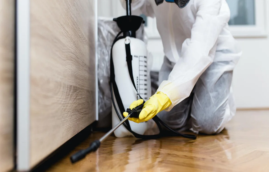 Long-Term Pest Control Contracts vs. One-Time Services in Indianapolis