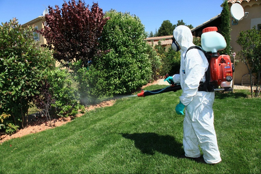 Long-Term Pest Management in Winter Garden: A Guide for Homeowners